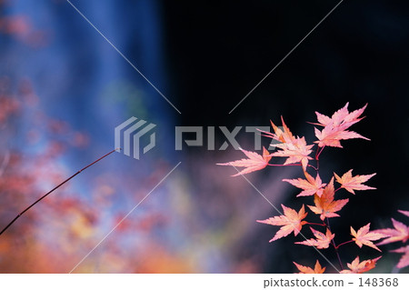Late autumn 148368