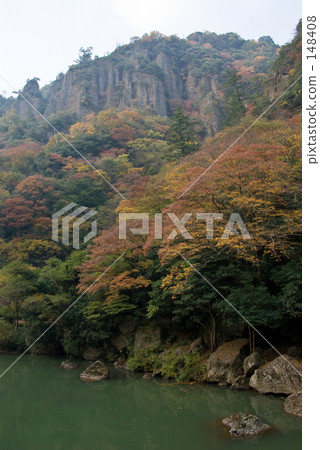 秋天的樹葉 148408