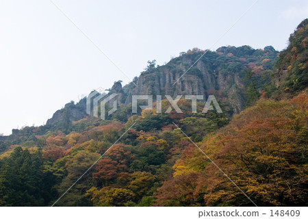 秋天的樹葉 148409