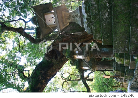 Taiki＆lanterns 149240