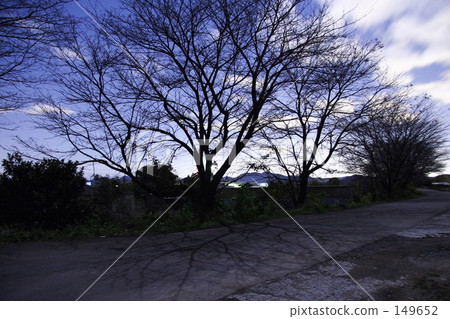 月光街1號 149652