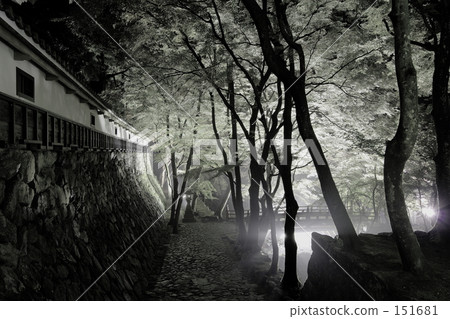 Night at Yokozenji 151681