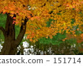 Autumn leaves begin 151714
