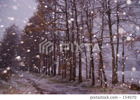 Winter scenery 154070