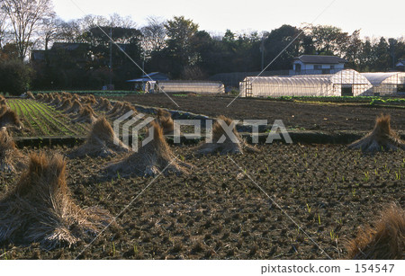 Mine Numed Field·Winter 0257 154547