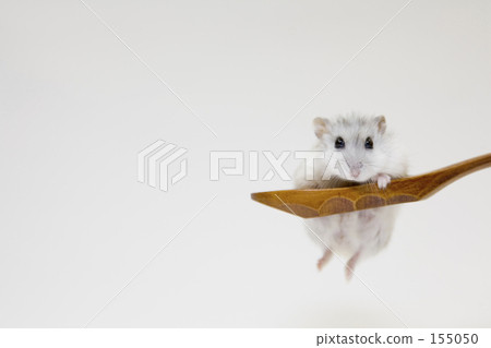 High, pose! High, pose! 155050