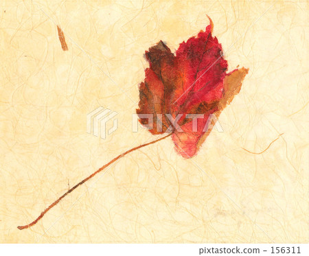 Ivy leaves Ivy leaves 156311