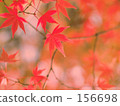 紅刺痛 156698