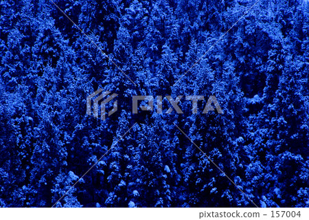 Being lit by the moonlight Being lit by the moonlight 157004