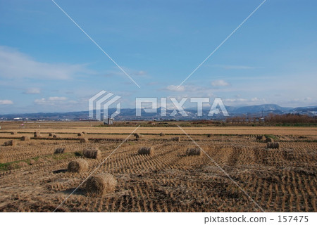 The early winter countryside The early winter countryside 157475