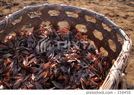 化肥 深棕色 籃子 158458