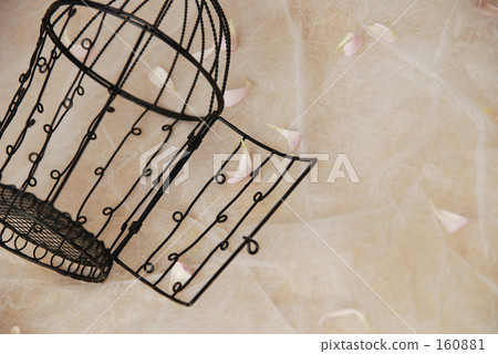 Flower and basket 6 160881