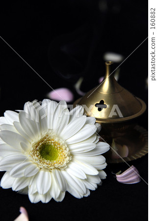 Gerbera and censer Gerbera and censer 160882