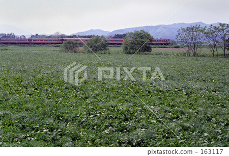 鐵路·國家鐵路函館幹線快車昭和55年 163117