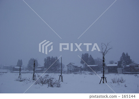 Snowstorm Snowstorm 165144
