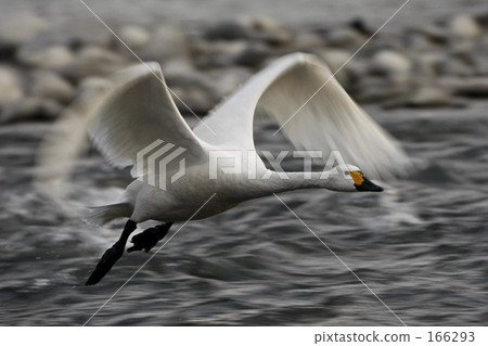 Water separation Water separation 166293