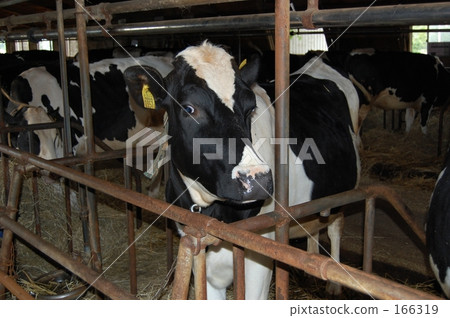 讓我出去〜 讓我出去〜 166319