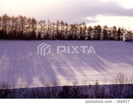 陰影延伸到山上 166457