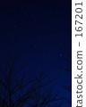 Night walking trail _ 01 167201