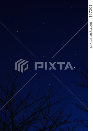 Night walking trail _ 01 167201