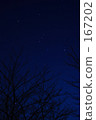 Night walking trail _ 02 167202