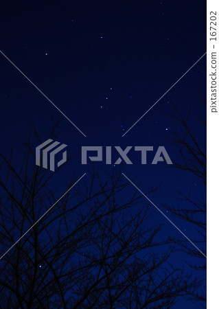 Night walking trail _ 02 167202