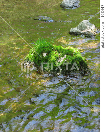 Flying island of moss 168447