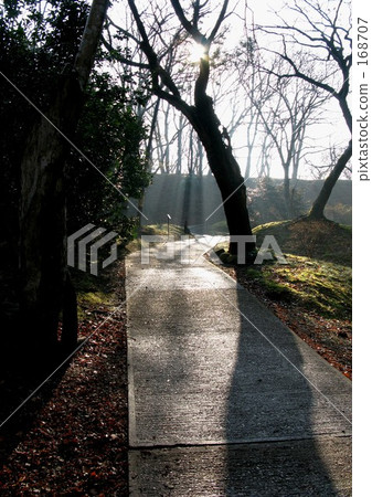 Morning after rain 168707