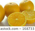 Orange  168733