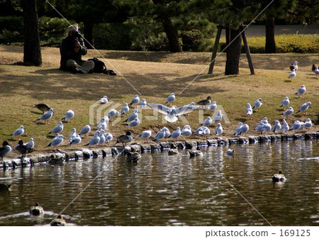 Kamome和他的叔叔 169125