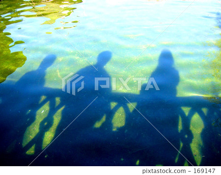 Water surface and shadow 169147