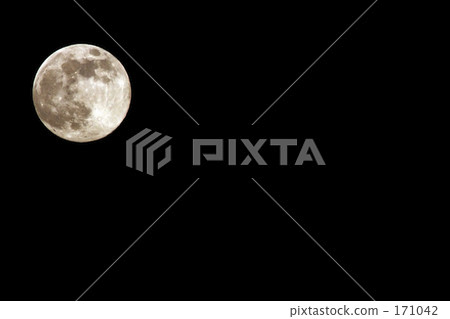 遠景 常見 正規的 171042