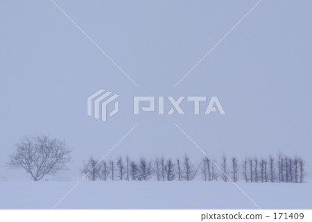 On a snowy day 171409