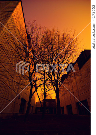 健身房 體育館 神奈川公園 172552