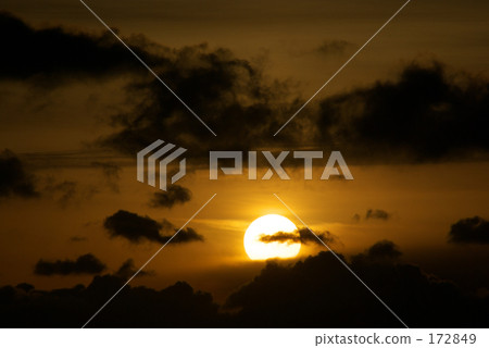 在冬天的早晨 172849