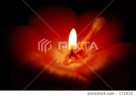 芳香蠟燭木槿香 172919