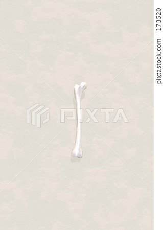 Bone 173520