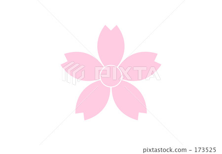 Cherry Blossoms   173525