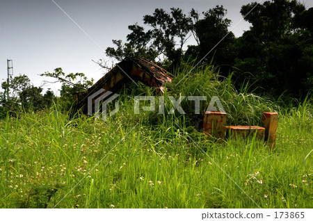 second annual contest, yin, ishigakijima 173865