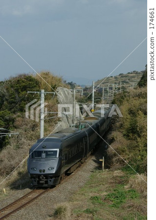swallow, barn swallow, limited express train 174661