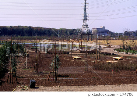 我的號碼 - 春天310 我的號碼 - 春天310 174706