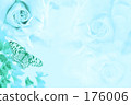 Butterfly  176006