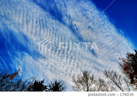 北方的藍天11 北方的藍天11 176016