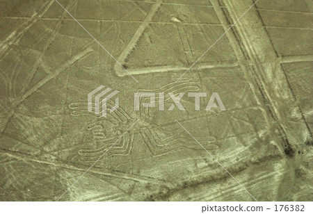 納斯卡的風景 - 蜘蛛蜘蛛 176382