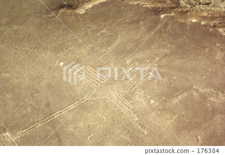 Nasca's Landscape - Hummingbird 176384