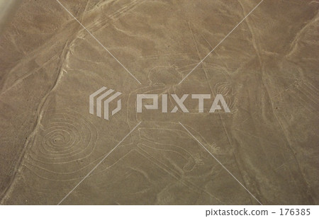 納斯卡風景 - 猴子 176385