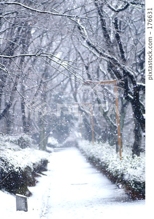 雪的人行道 雪的人行道 176631