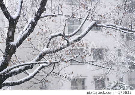 Winter scenery Winter scenery 176635