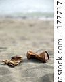 Lost article Lost article 177717