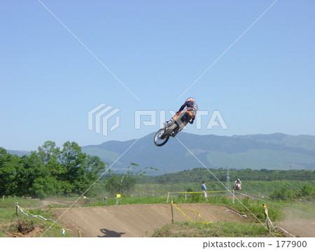 whip 177900